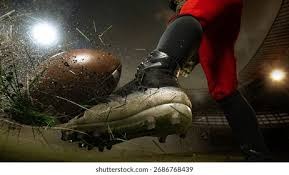 浙江队副总：除米特里策外，其他外援的去留都需再三权衡